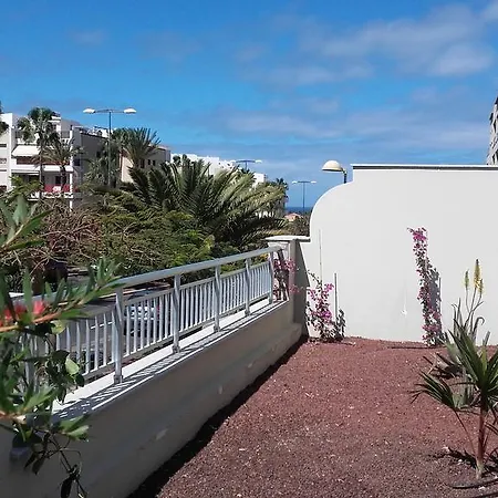 San Remo Palm-mar