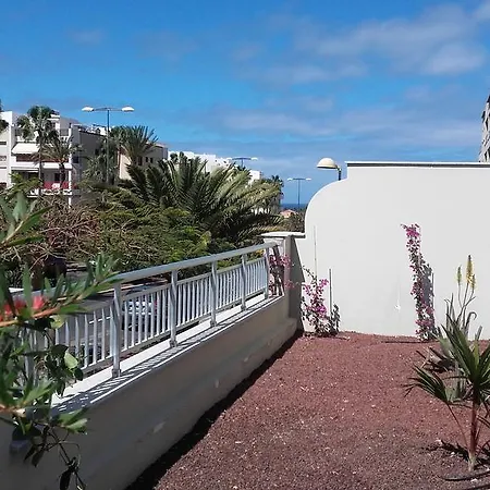 San Remo Palm-mar